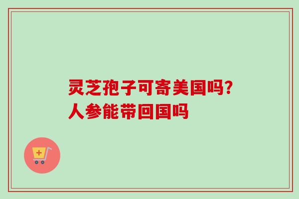 灵芝孢子可寄美国吗？人参能带回国吗