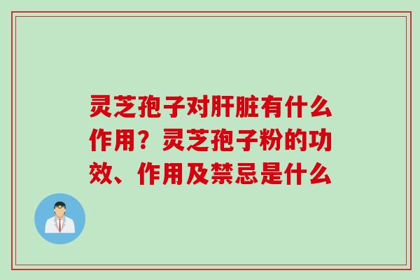 灵芝孢子对肝脏有什么作用？灵芝孢子粉的功效、作用及禁忌是什么