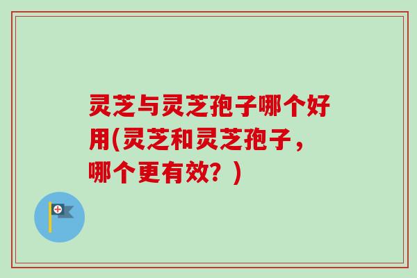 灵芝与灵芝孢子哪个好用(灵芝和灵芝孢子，哪个更有效？)