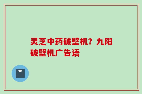 灵芝中药破壁机？九阳破壁机广告语