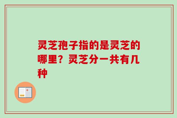 灵芝孢子指的是灵芝的哪里？灵芝分一共有几种