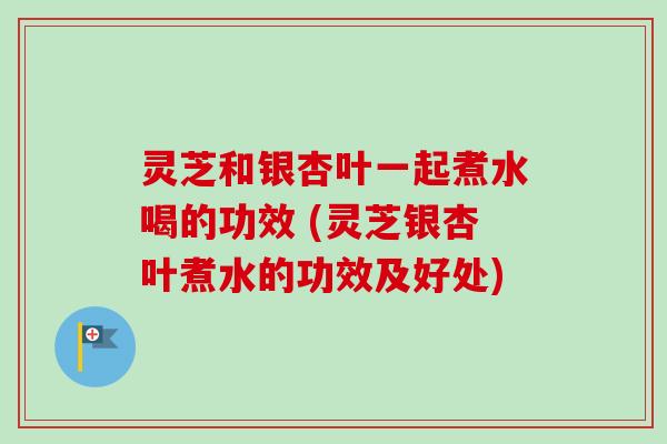 灵芝和银杏叶一起煮水喝的功效 (灵芝银杏叶煮水的功效及好处)