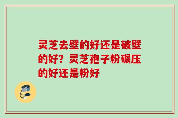 灵芝去壁的好还是破壁的好？灵芝孢子粉碾压的好还是粉好