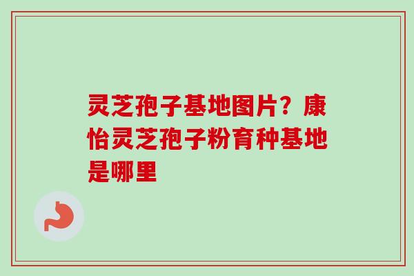 灵芝孢子基地图片？康怡灵芝孢子粉育种基地是哪里