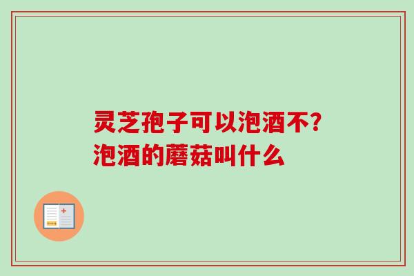 灵芝孢子可以泡酒不？泡酒的蘑菇叫什么
