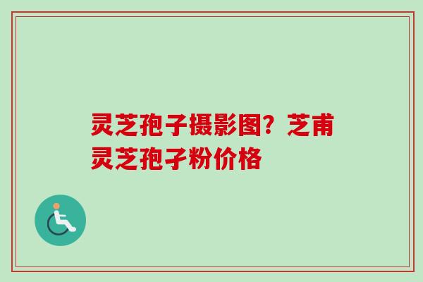 灵芝孢子摄影图？芝甫灵芝孢孑粉价格
