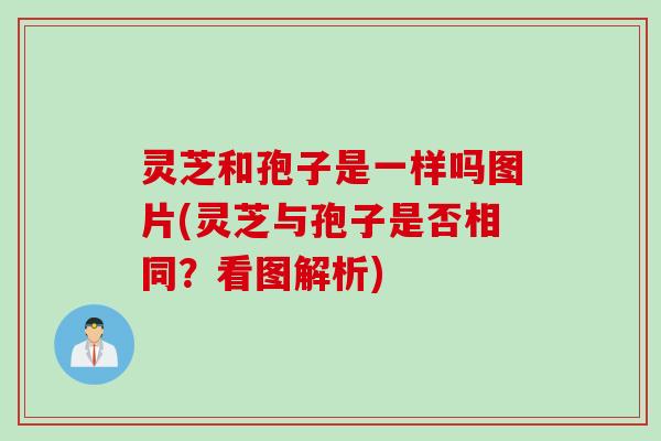 灵芝和孢子是一样吗图片(灵芝与孢子是否相同?看图解析) 灵芝和孢子是一样吗图片(灵芝与孢子是否相同?看图解析)