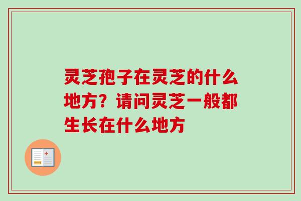 灵芝孢子在灵芝的什么地方？请问灵芝一般都生长在什么地方