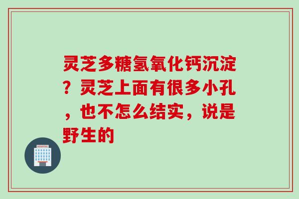 灵芝多糖氢氧化钙沉淀?灵芝上面有很多小孔,也不怎么结实,说是野生的 灵芝多糖氢氧化钙沉淀?灵芝上面有很多小孔,也不怎么结实,说是野生的