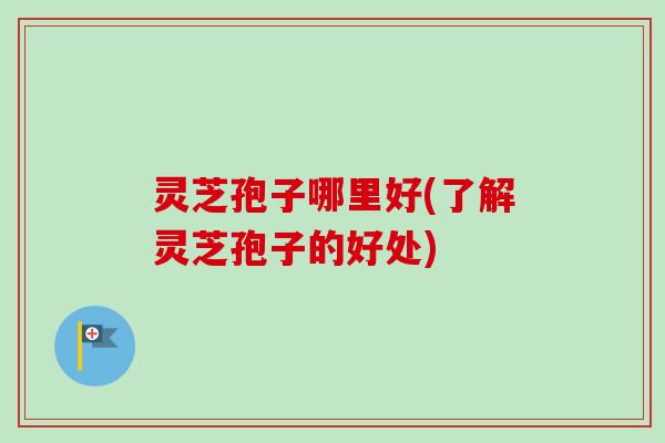 灵芝孢子哪里好(了解灵芝孢子的好处) 灵芝孢子哪里好(了解灵芝孢子的好处)
