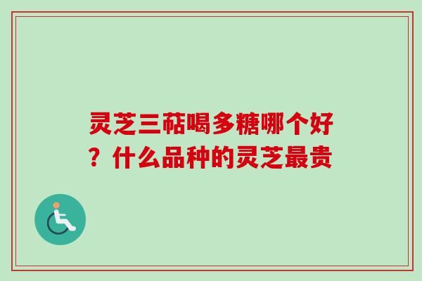 灵芝三萜喝多糖哪个好？什么品种的灵芝最贵