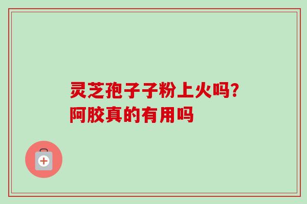 灵芝孢子子粉上火吗?阿胶真的有用吗 灵芝孢子子粉上火吗?阿胶真的有用吗