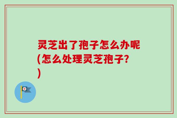 灵芝出了孢子怎么办呢(怎么处理灵芝孢子？)