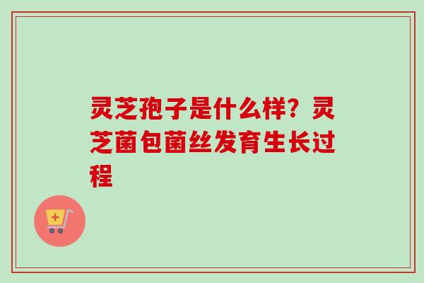 灵芝孢子是什么样？灵芝菌包菌丝发育生长过程