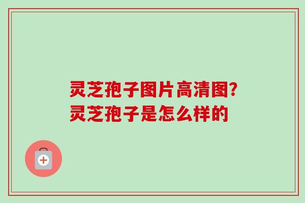 灵芝孢子图片高清图？灵芝孢子是怎么样的