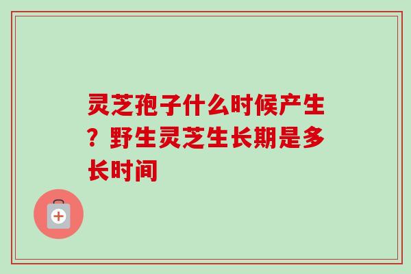 灵芝孢子什么时候产生？野生灵芝生长期是多长时间
