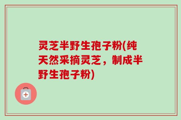 灵芝半野生孢子粉(纯天然采摘灵芝，制成半野生孢子粉)