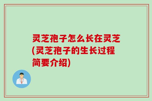 灵芝孢子怎么长在灵芝(灵芝孢子的生长过程简要介绍) 灵芝孢子怎么长在灵芝(灵芝孢子的生长过程简要介绍)