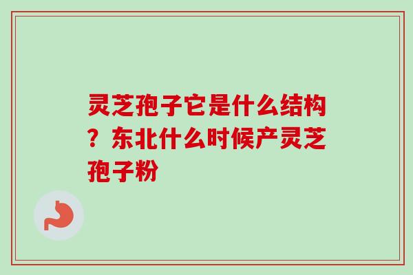 灵芝孢子它是什么结构？东北什么时候产灵芝孢子粉
