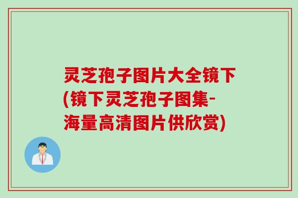 灵芝孢子图片大全镜下(镜下灵芝孢子图集-海量高清图片供欣赏) 灵芝孢子图片大全镜下(镜下灵芝孢子图集-海量高清图片供欣赏)