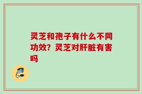 灵芝和孢子有什么不同功效？灵芝对肝脏有害吗