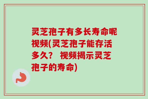 灵芝孢子有多长寿命呢视频(灵芝孢子能存活多久？ 视频揭示灵芝孢子的寿命)