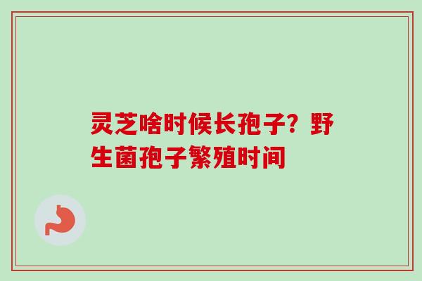 灵芝啥时候长孢子？野生菌孢子繁殖时间