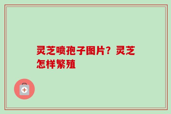 灵芝喷孢子图片？灵芝怎样繁殖