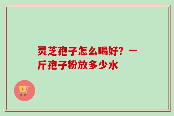 灵芝孢子怎么喝好？一斤孢子粉放多少水