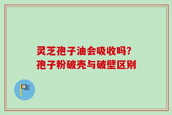 灵芝孢子油会吸收吗？孢子粉破壳与破壁区别