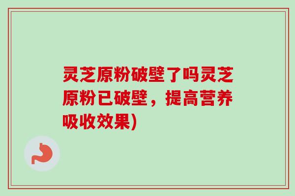 灵芝原粉破壁了吗灵芝原粉已破壁，提高营养吸收效果)