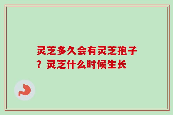 灵芝多久会有灵芝孢子？灵芝什么时候生长