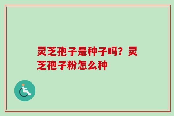 灵芝孢子是种子吗?灵芝孢子粉怎么种 灵芝孢子是种子吗?灵芝孢子粉怎么种