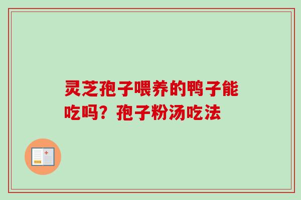 灵芝孢子喂养的鸭子能吃吗？孢子粉汤吃法