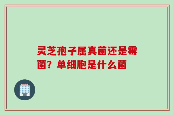 灵芝孢子属真菌还是霉菌？单细胞是什么菌