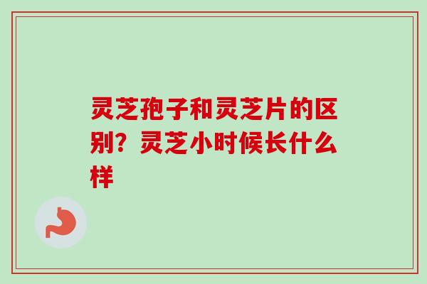 灵芝孢子和灵芝片的区别？灵芝小时候长什么样
