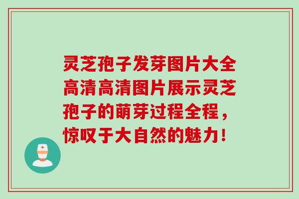 灵芝孢子发芽图片大全高清高清图片展示灵芝孢子的萌芽过程全程,惊叹于大自然的魅力! 灵芝孢子发芽图片大全高清高清图片展示灵芝孢子的萌芽过程全程,惊叹于大自然的魅力!