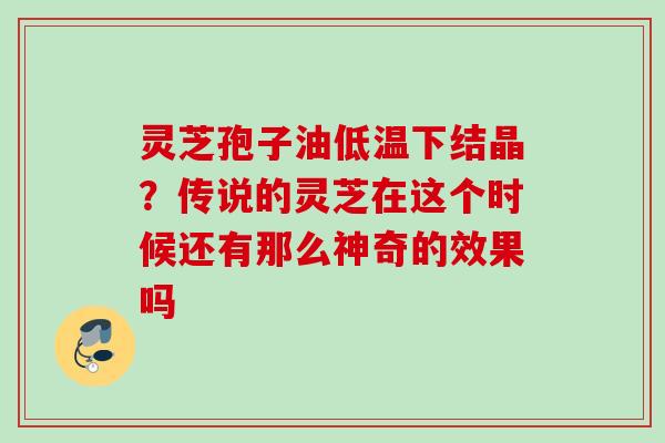 灵芝孢子油低温下结晶？传说的灵芝在这个时候还有那么神奇的效果吗