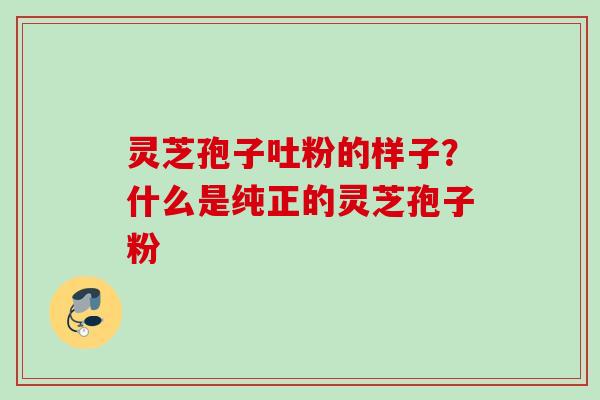 灵芝孢子吐粉的样子？什么是纯正的灵芝孢子粉