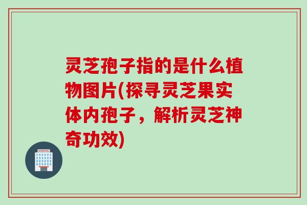灵芝孢子指的是什么植物图片(探寻灵芝果实体内孢子,解析灵芝神奇功效) 灵芝孢子指的是什么植物图片(探寻灵芝果实体内孢子,解析灵芝神奇功效)