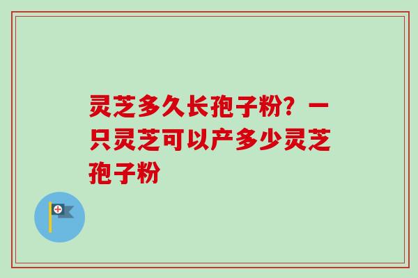 灵芝多久长孢子粉？一只灵芝可以产多少灵芝孢子粉
