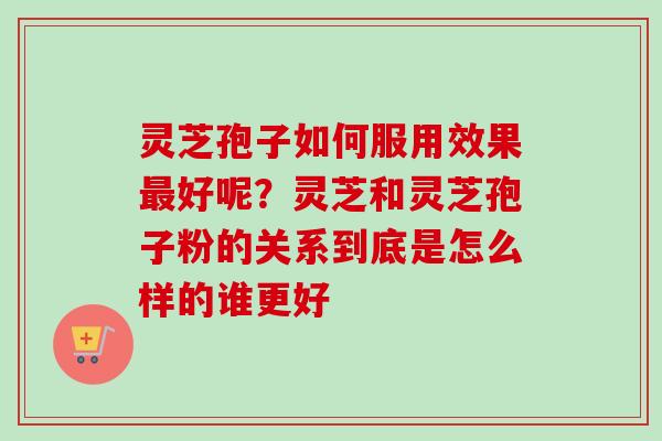 灵芝孢子如何服用效果好呢?灵芝和灵芝孢子粉的关系到底是怎么样的谁更好 灵芝孢子如何服用效果好呢?灵芝和灵芝孢子粉的关系到底是怎么样的谁更好
