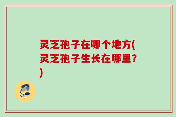 灵芝孢子在哪个地方(灵芝孢子生长在哪里？)