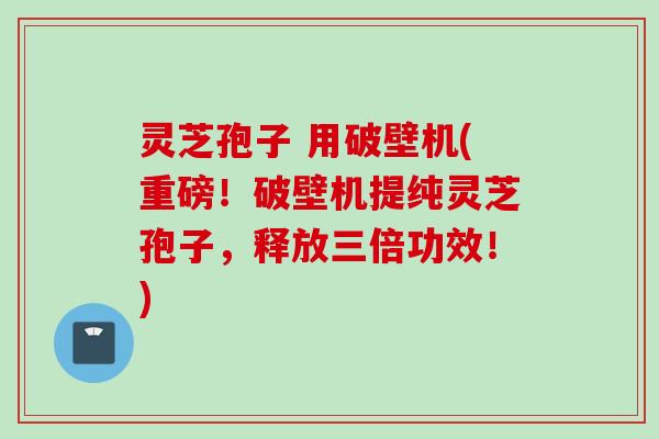 灵芝孢子 用破壁机(重磅！破壁机提纯灵芝孢子，释放三倍功效！)