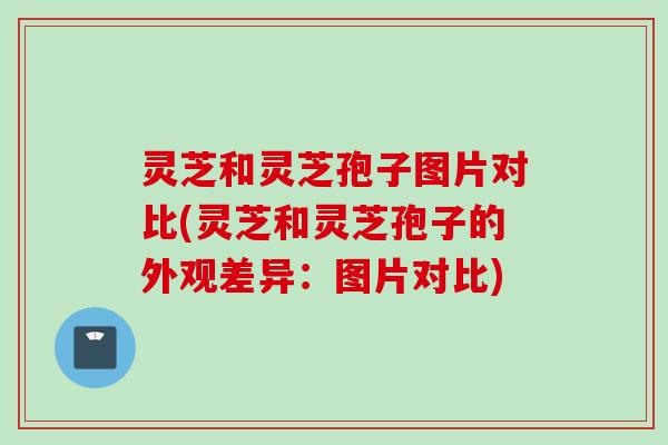 灵芝和灵芝孢子图片对比(灵芝和灵芝孢子的外观差异：图片对比)