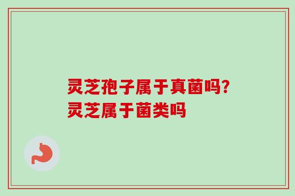 灵芝孢子属于真菌吗？灵芝属于菌类吗