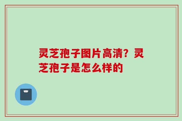 灵芝孢子图片高清？灵芝孢子是怎么样的