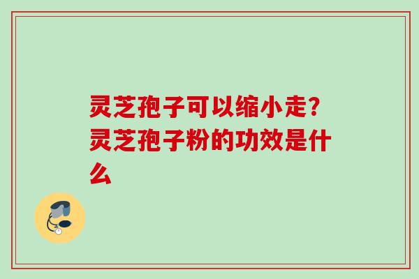 灵芝孢子可以缩小走？灵芝孢子粉的功效是什么