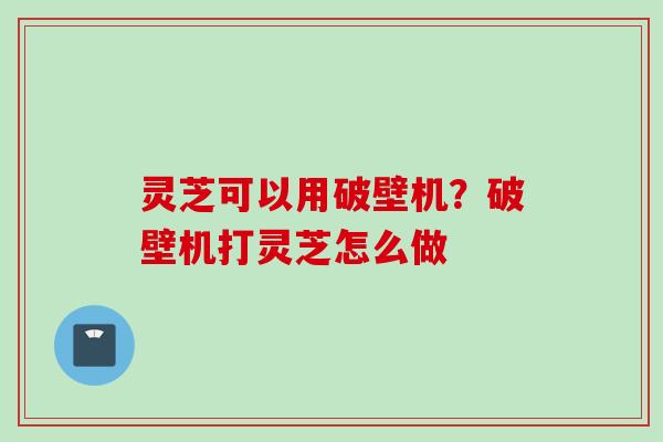 灵芝可以用破壁机？破壁机打灵芝怎么做