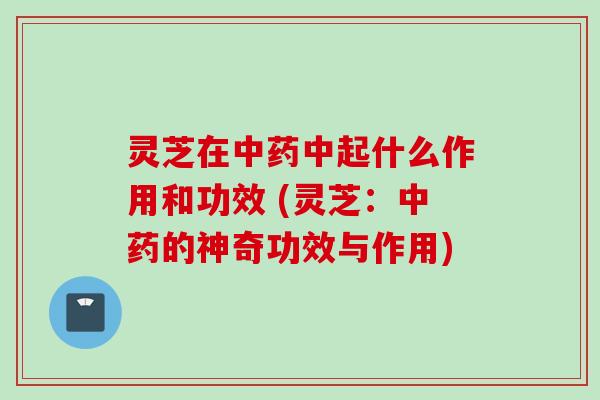 灵芝在中药中起什么作用和功效 (灵芝：中药的神奇功效与作用)